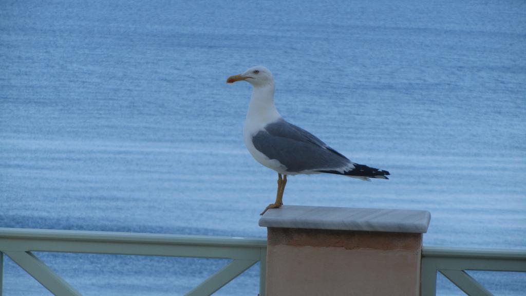 Apollonos Seafront Apartment إرموبولّي المظهر الخارجي الصورة